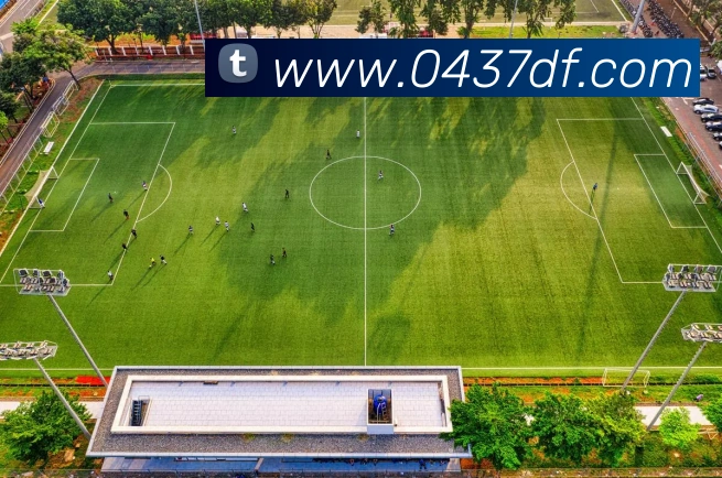 巅峰国际APP 体育赛事宣传图